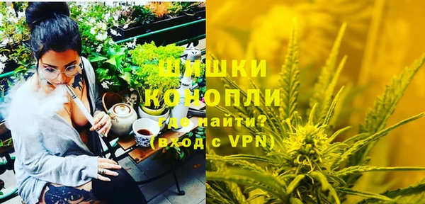 сатива Свободный