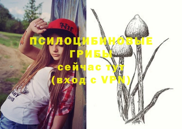 MESCALINE Тында